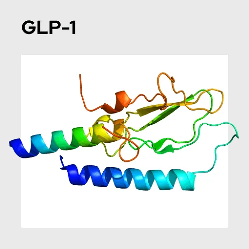 Glucagon-like-peptide-1-GLP-1