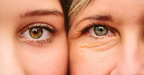 Understanding the Layers of Facial Aging